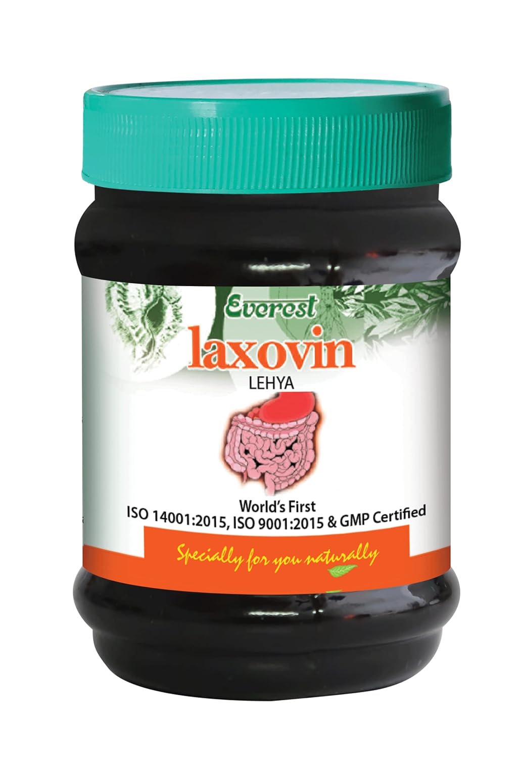 Everest Ayurveda Laxovin Lehya - 100 GM
