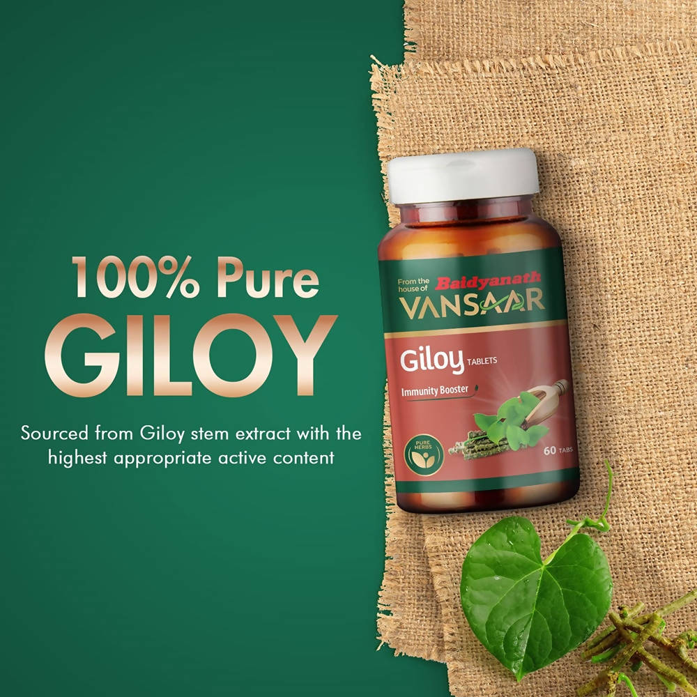 Baidyanath Vansaar Giloy Tablets - 60 Tabs