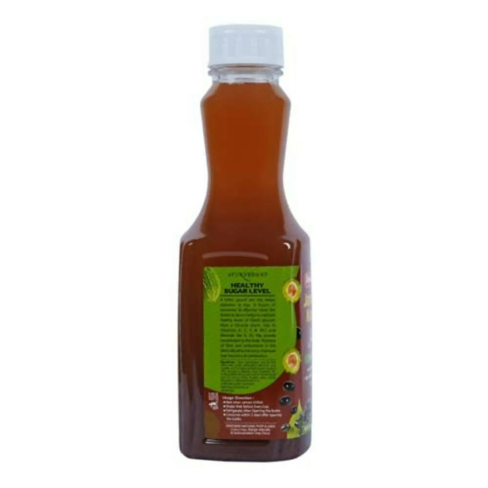 Baidyanath Jhansi Jamun Plus Karela Juice - 1 Ltr / 1000 ML