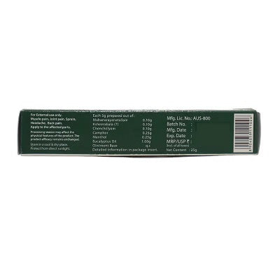 Kottakkal Pain Balm - 25 GM