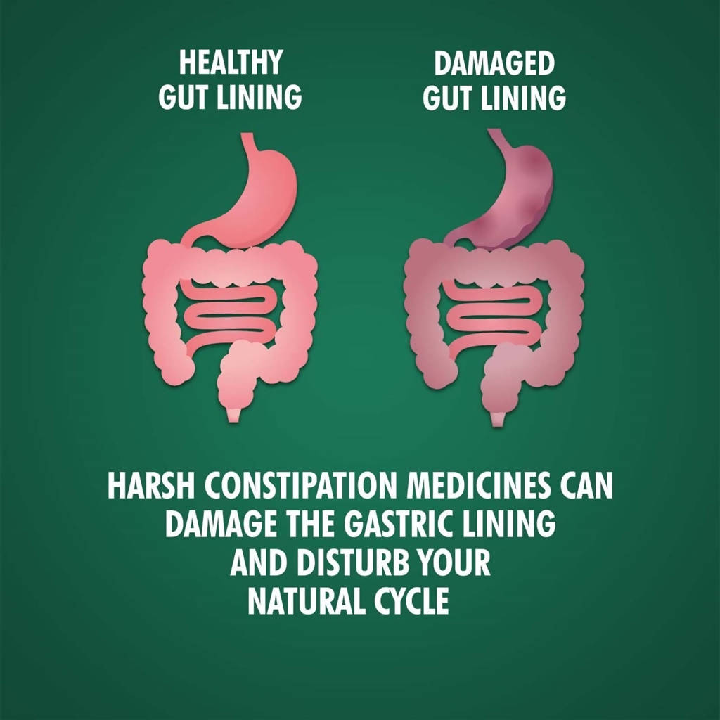 Vansaar Gut Relief Powder Sugar Free - 200 GM