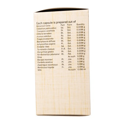 Sitaram Ayurveda Stimulint Capsules - 100 Caps