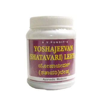 BV Pandit Yoshajeevan Lehya