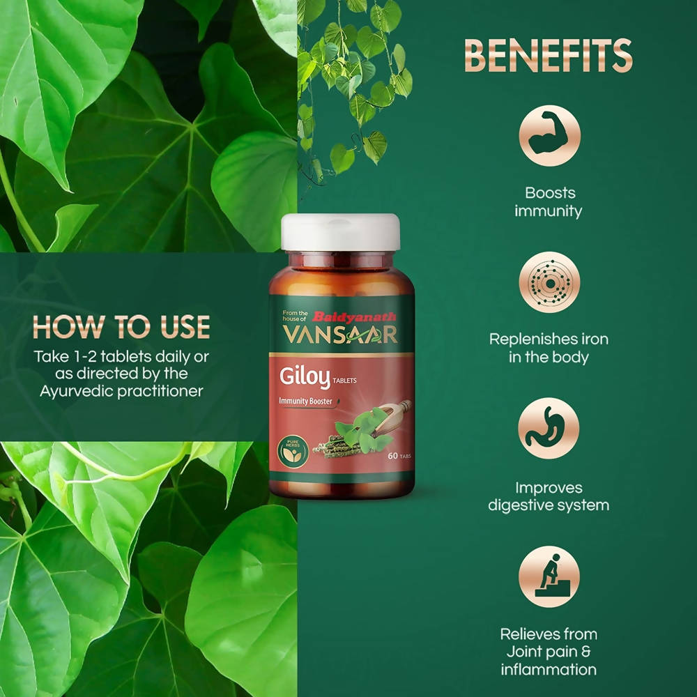 Baidyanath Vansaar Giloy Tablets - 60 Tabs