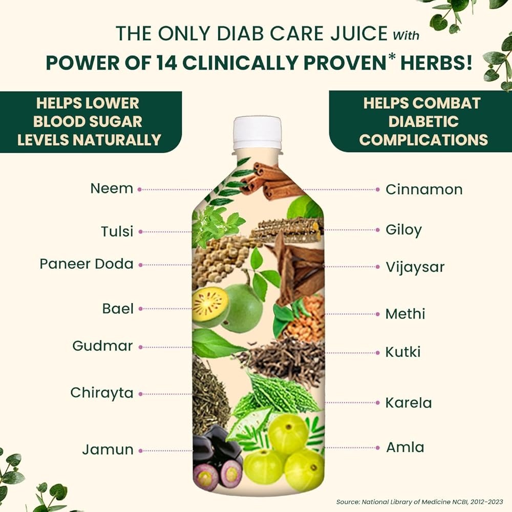 Vansaar 45+ Diab Balance Juice - 1 Ltr