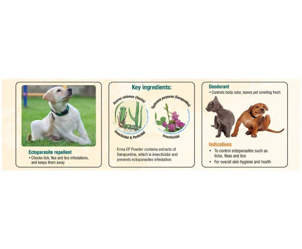 Himalaya Erina-Ep Powder