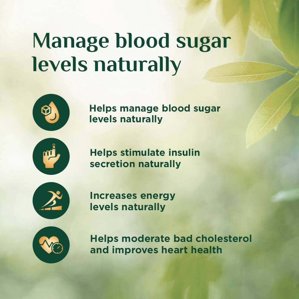 Vansaar 45+ Diab Balance Juice - 1 Ltr