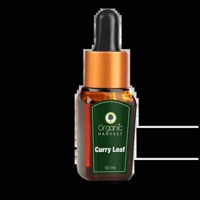 Buy Organic Harvest Curry Leaf Essential Oil