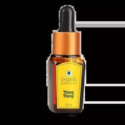 Buy Organic Harvest Ylang Ylang Essential Oil