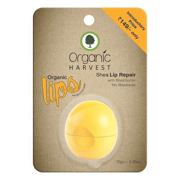 Buy Organic Harvest Shea Lip Balm online usa [ USA ] 