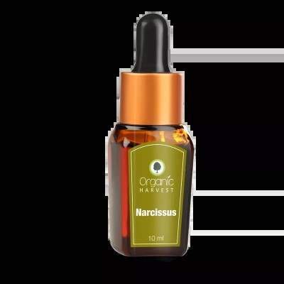 Buy Organic Harvest Narcissus Essential Oil online usa [ USA ] 