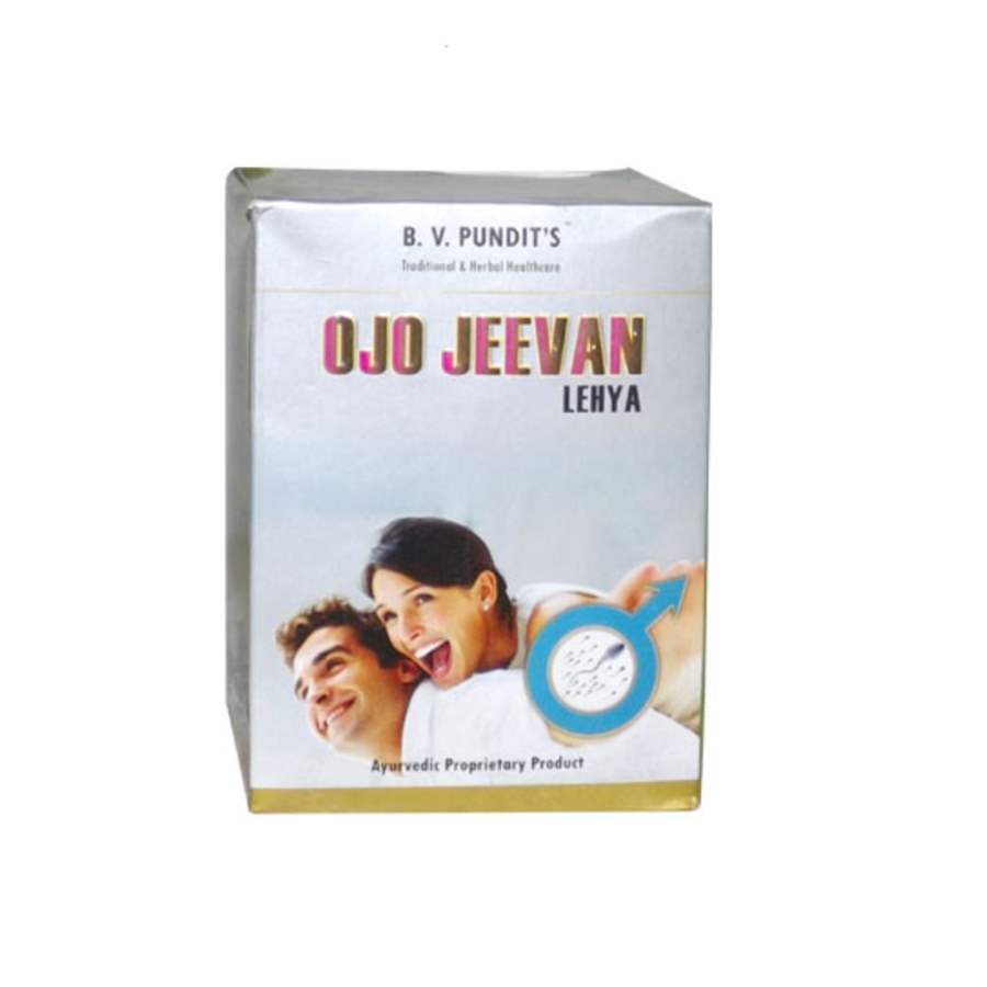 Buy BV Pandit Ojojeevan Lehya