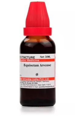 Buy Dr Willmar Schwabe Homeo Equisetum Arvense Q online usa [ USA ] 