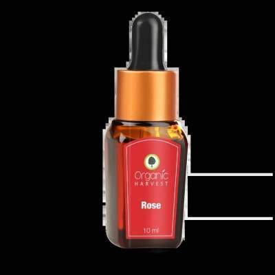 Buy Organic Harvest Rose Essential Oil