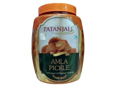 Buy Patanjali Amla Pickle online usa [ USA ] 