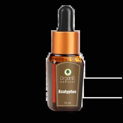 Buy Organic Harvest Eucalyptus Essential Oil online usa [ USA ] 