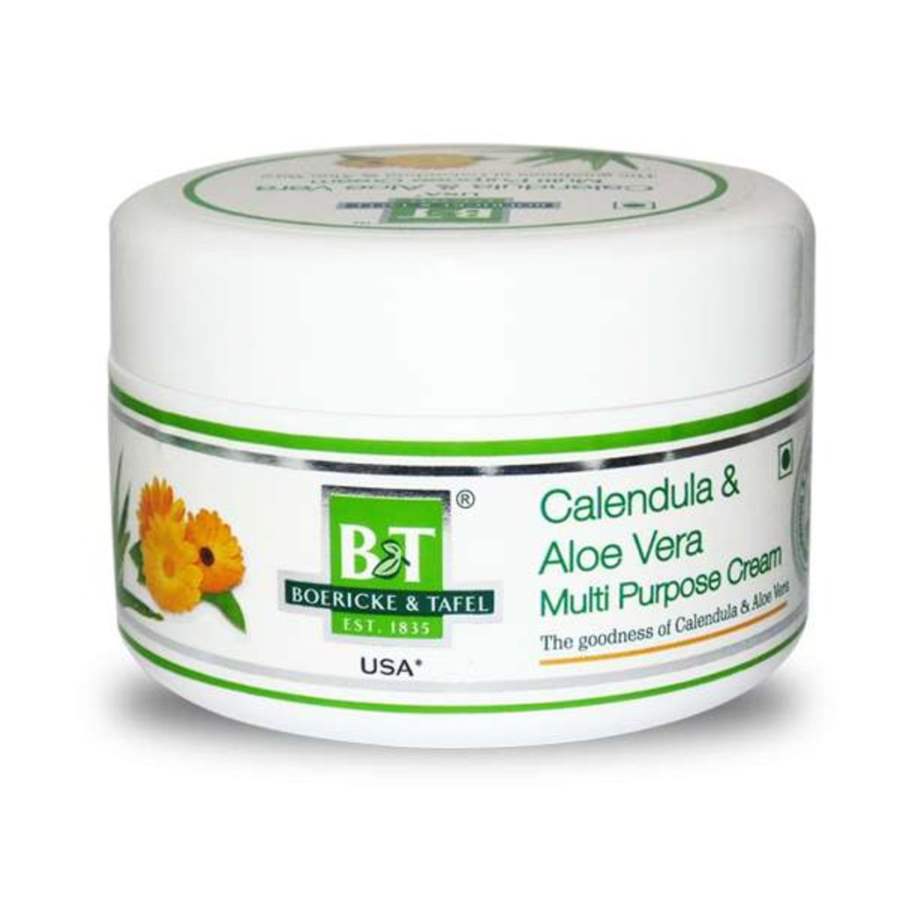 Buy Dr Willmar Schwabe Homeo B & T Calendula & Aloevera Multi Purpose Cream