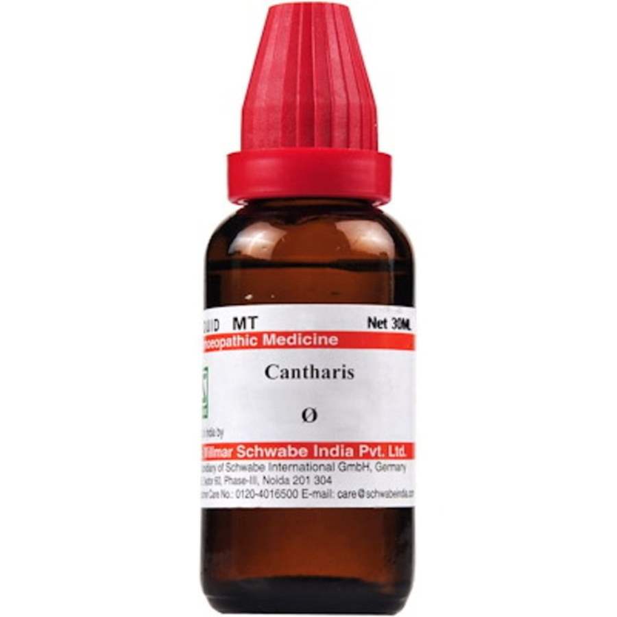 Buy Dr Willmar Schwabe Homeo Cantharis MT online usa [ USA ] 