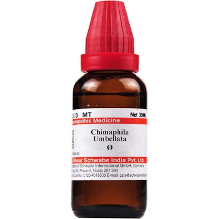 Buy Dr Willmar Schwabe Homeo Chimaphila umbellata MT