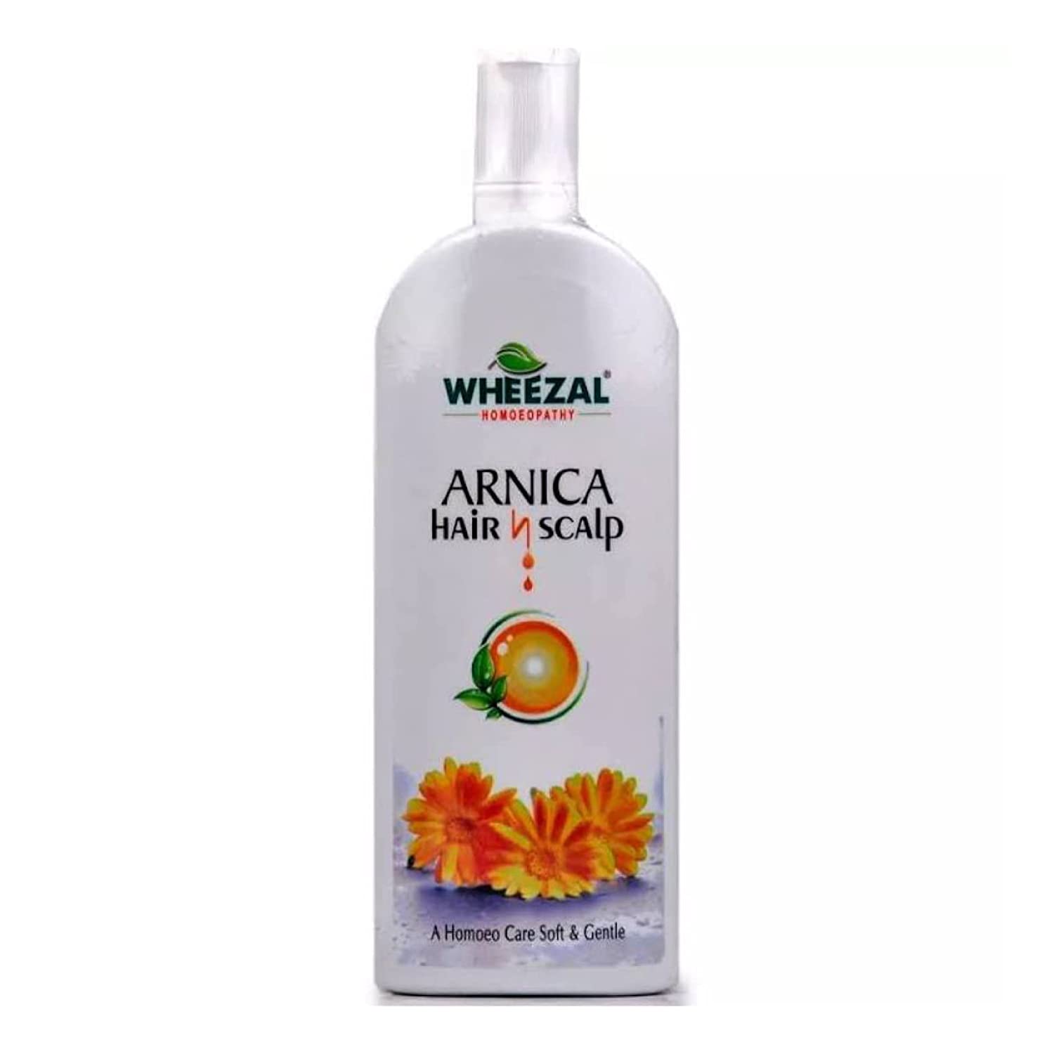 Buy Wheezal Arnica Hair and Scalp Shampoo