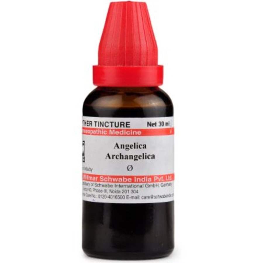 Buy Dr Willmar Schwabe Homeo Angelica Archangelica online usa [ USA ] 